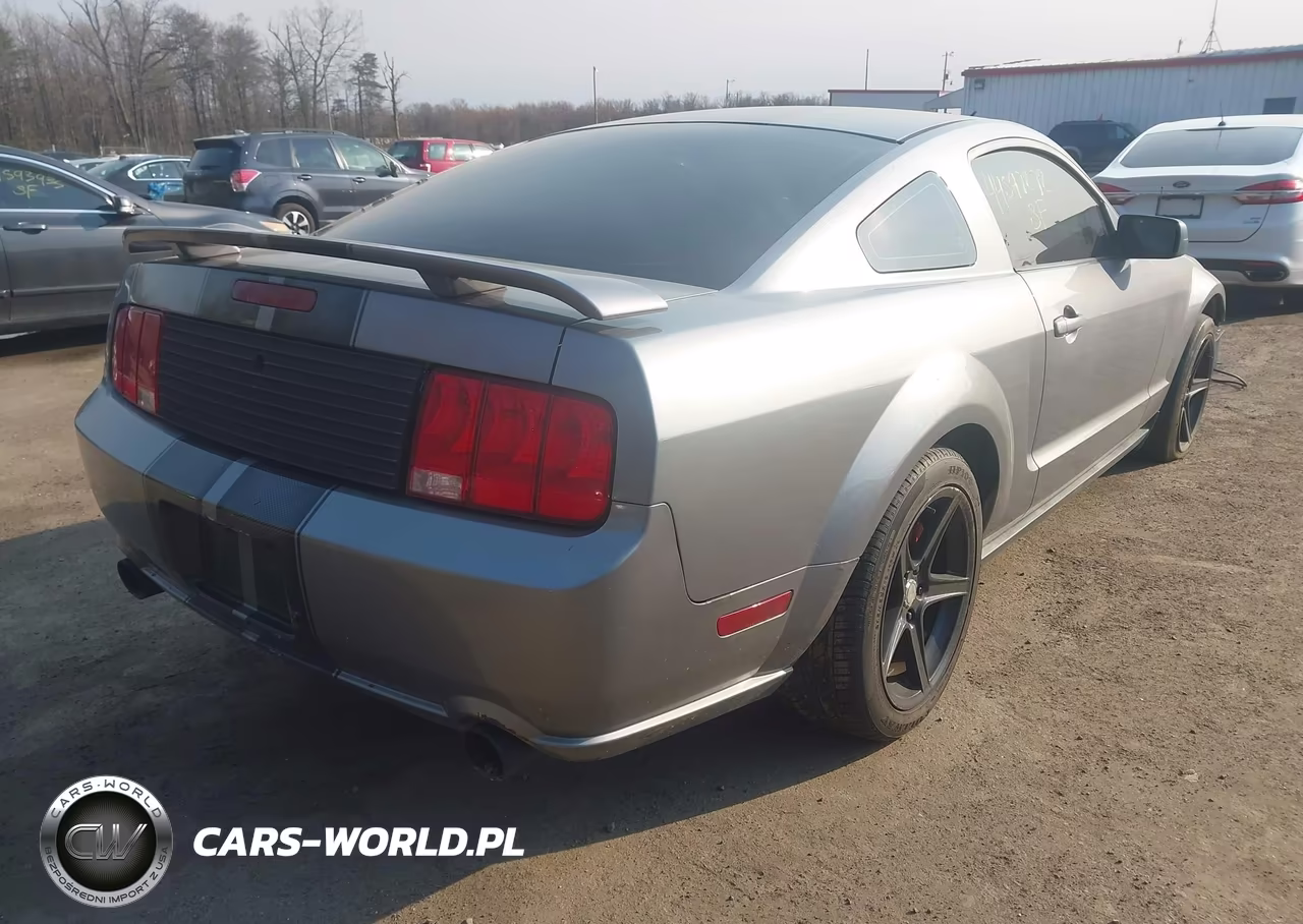 2006 Ford Mustang V6 VIN:1ZVFT80N165127344 - 4