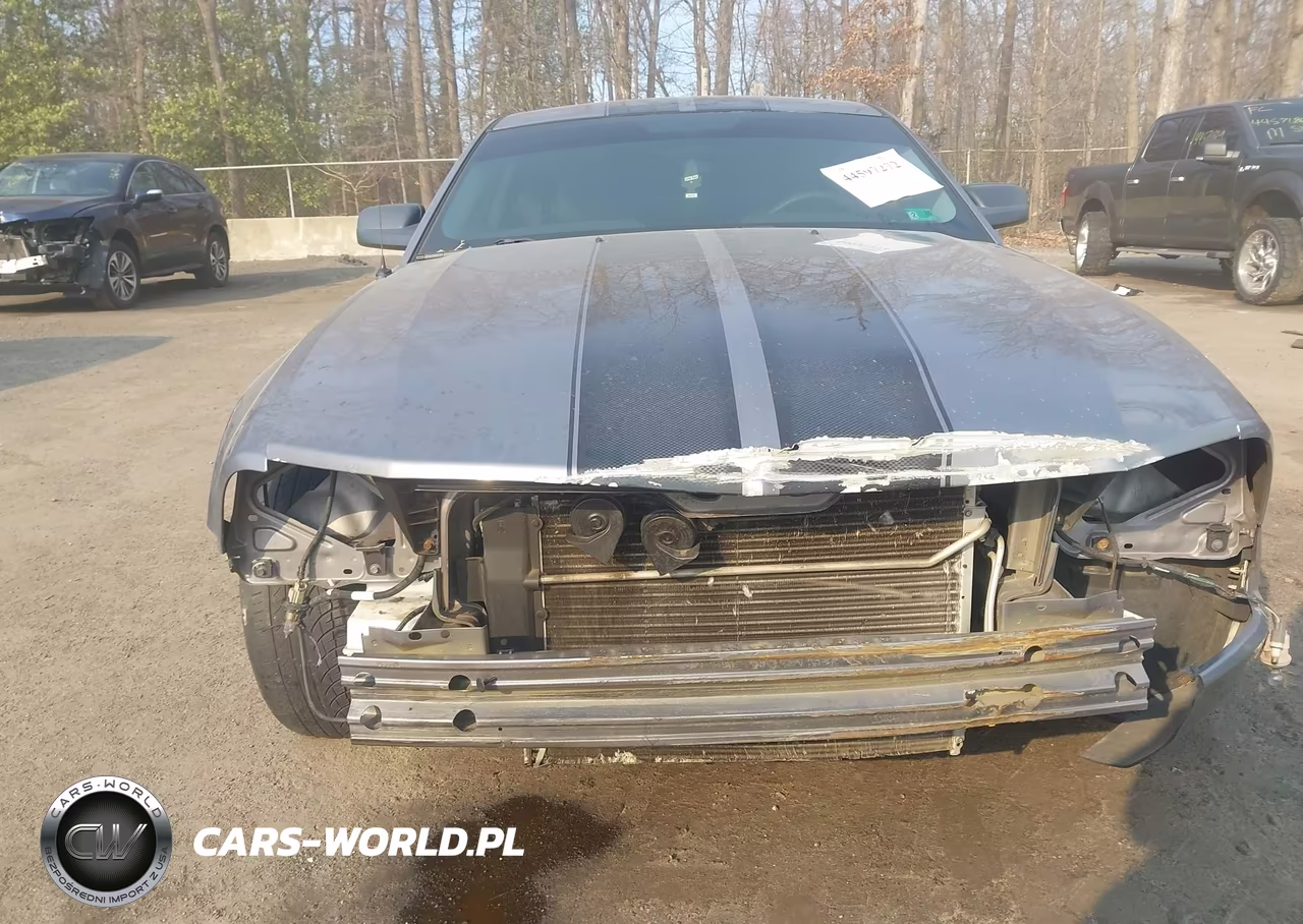 2006 Ford Mustang V6 VIN:1ZVFT80N165127344 - 6