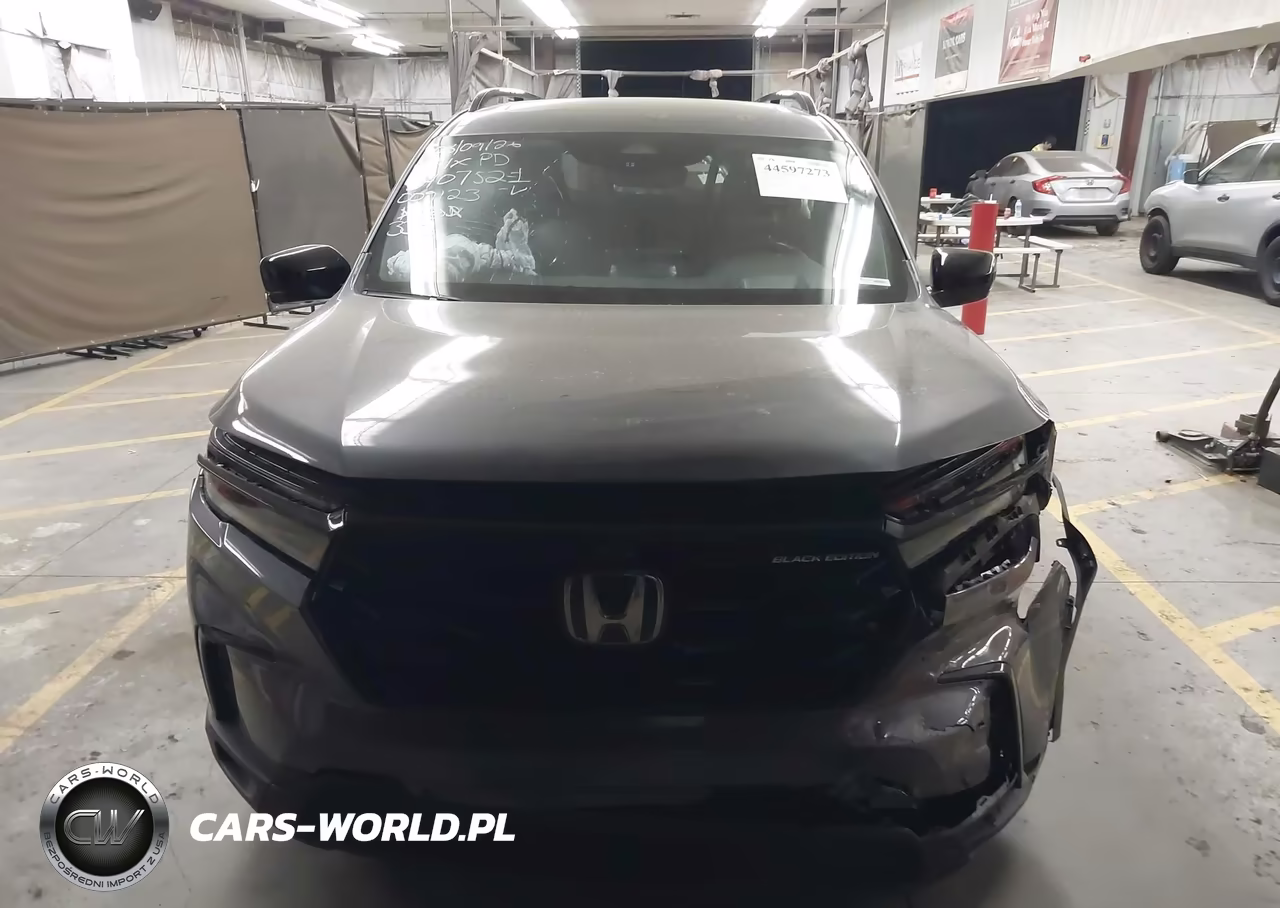 2025 Honda Pilot Black Edition VIN:5FNYG1H9XSB009123 - 12