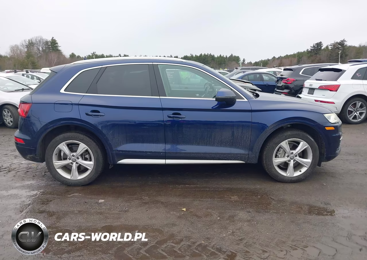 2020 Audi Q5 Premium Plus 45 Tfsi Quattro S Tronic VIN:WA1BNAFY4L2054112 - 13