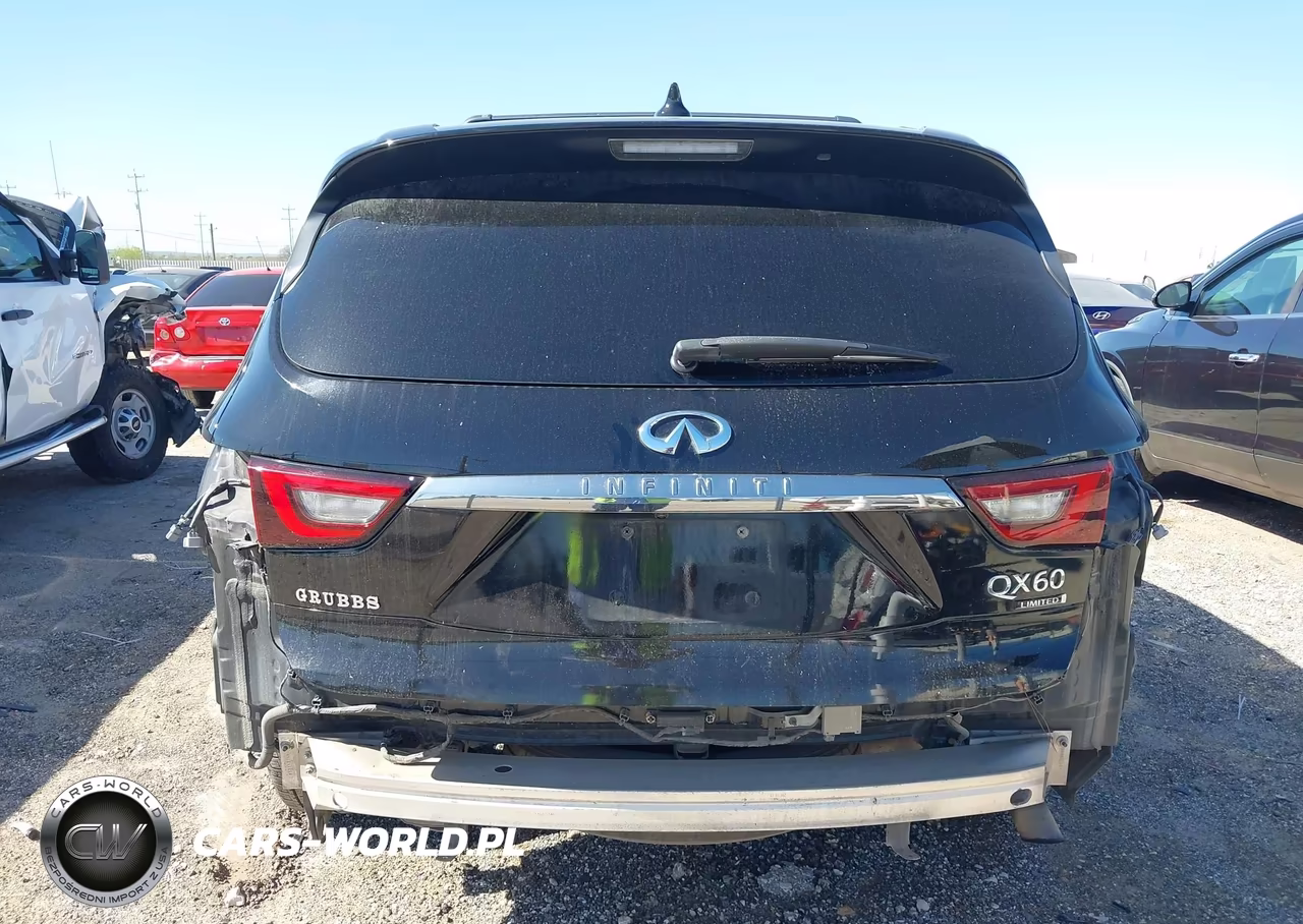 2019 Infiniti Qx60 Luxe VIN:5N1DL0MN0KC527595 - 17