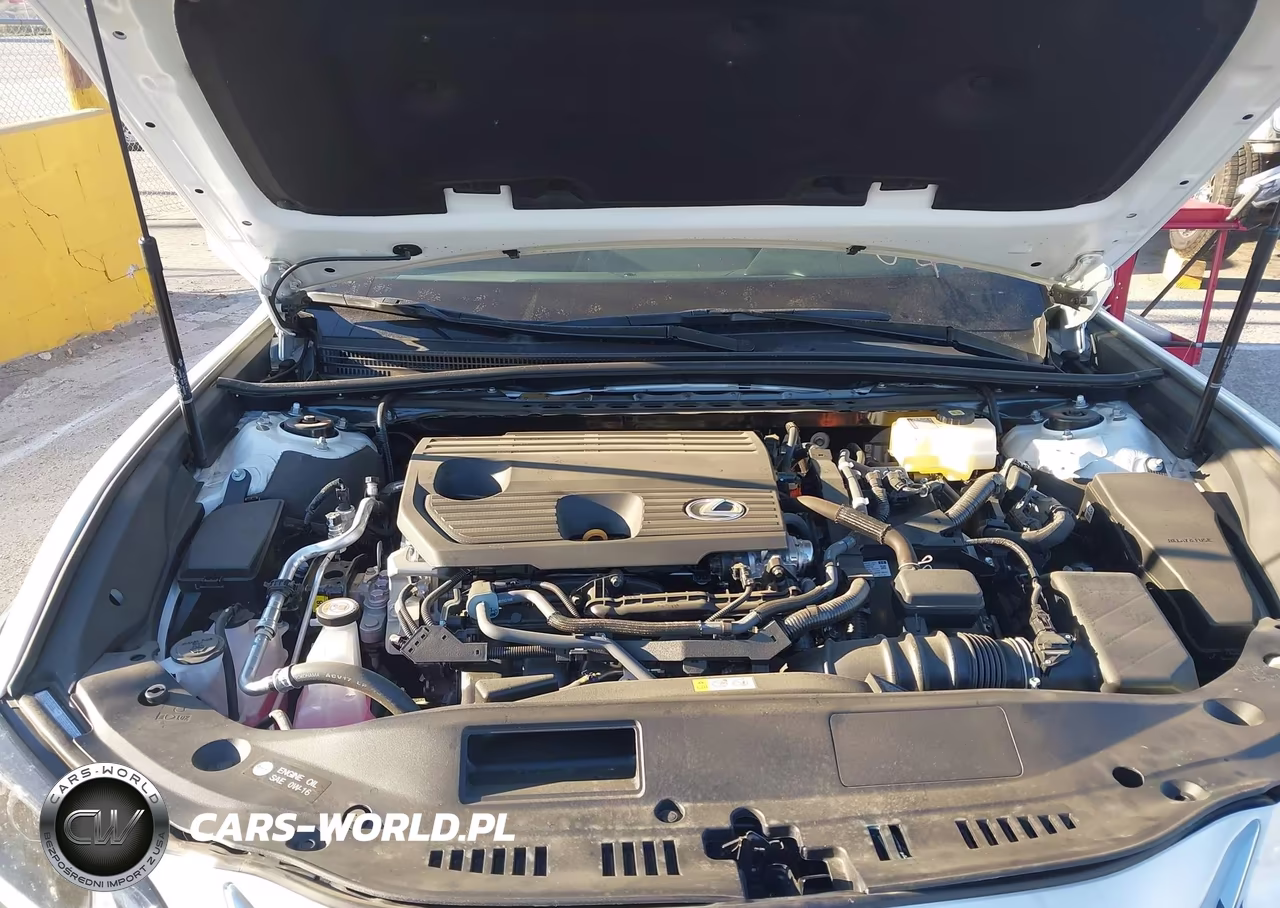 2025 Lexus Es 300H VIN:58ADA1C19SU075529 - 10