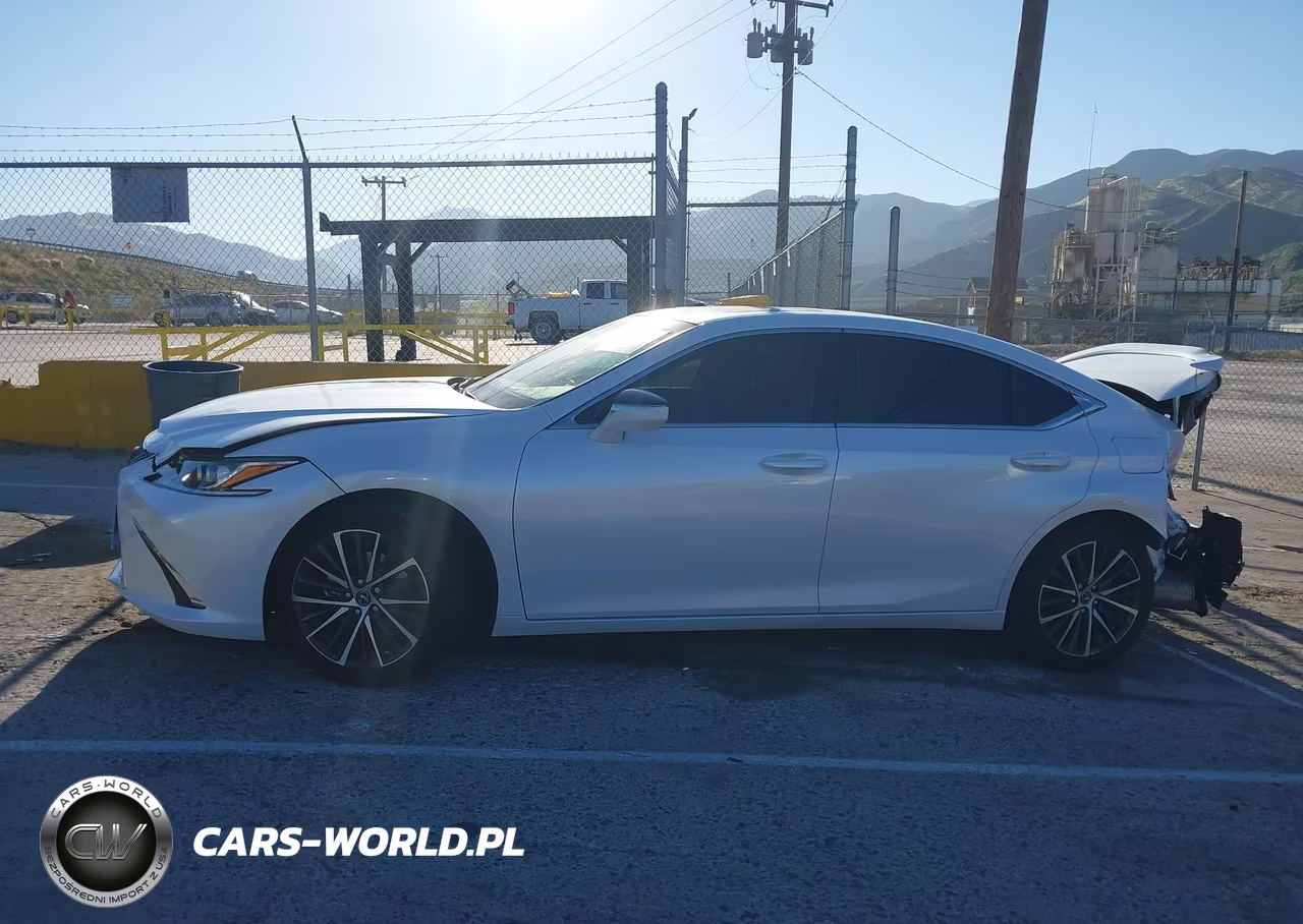 2025 Lexus Es 300H VIN:58ADA1C19SU075529 - 14
