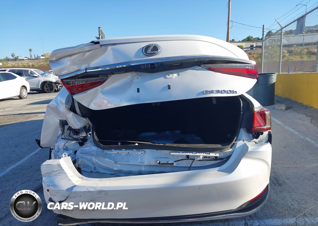 2025 Lexus Es 300H VIN:58ADA1C19SU075529 - 16