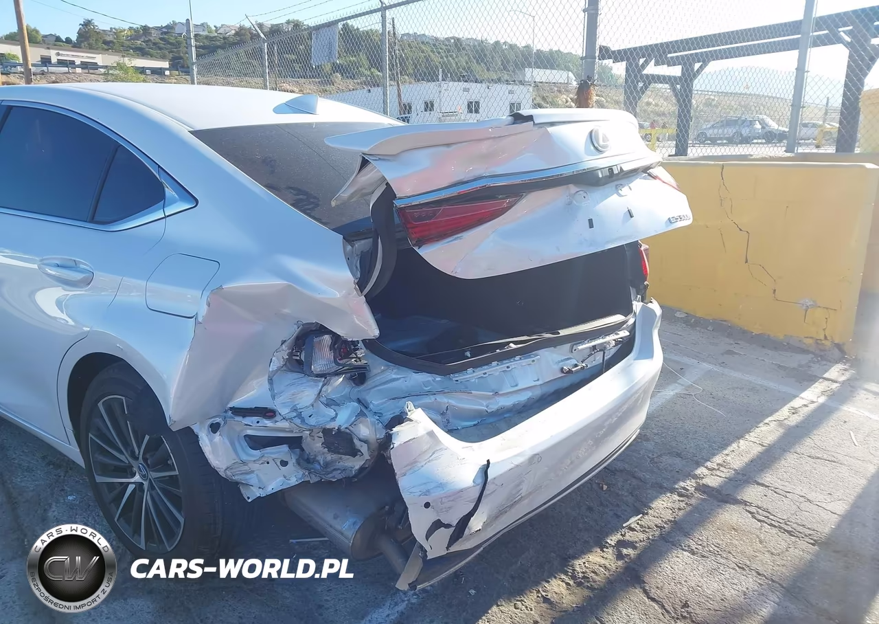 2025 Lexus Es 300H VIN:58ADA1C19SU075529 - 6