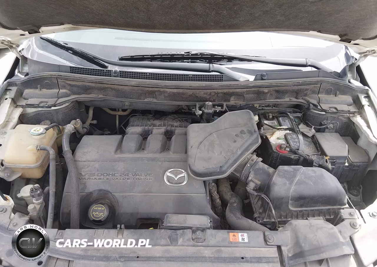 2010 Mazda Cx-9 Sport VIN:JM3TB2MA1A0233674 - 10