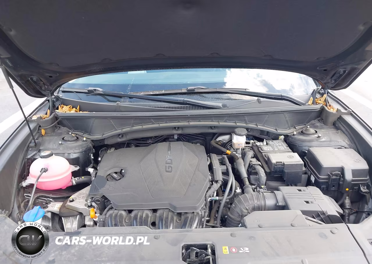2024 Hyundai Tucson Se VIN:5NMJA3DE2RH434264 - 10