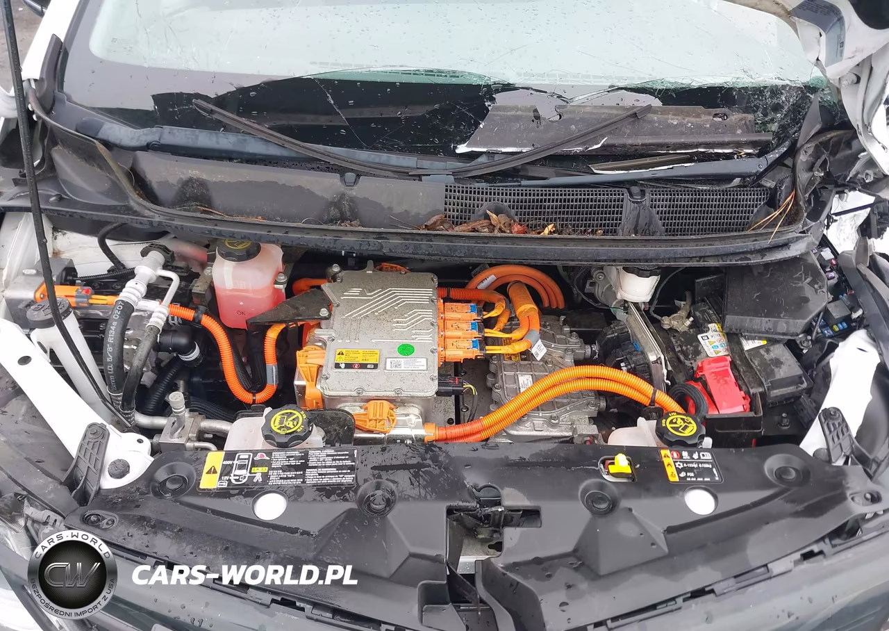 2018 Chevrolet Bolt Ev Lt VIN:1G1FW6S0XJ4110484 - 10