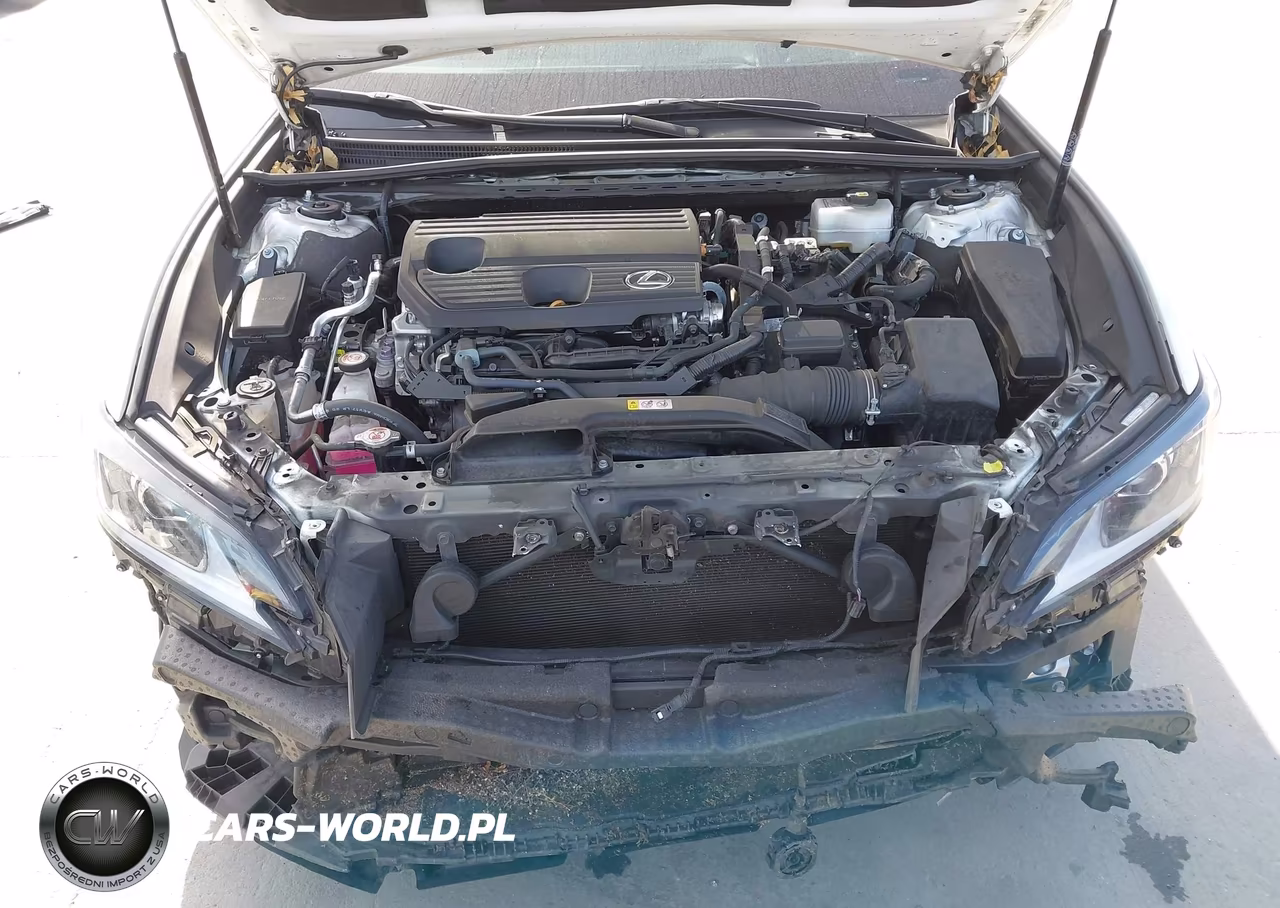 2024 Lexus Es 300H VIN:58ADA1C19RU039429 - 10