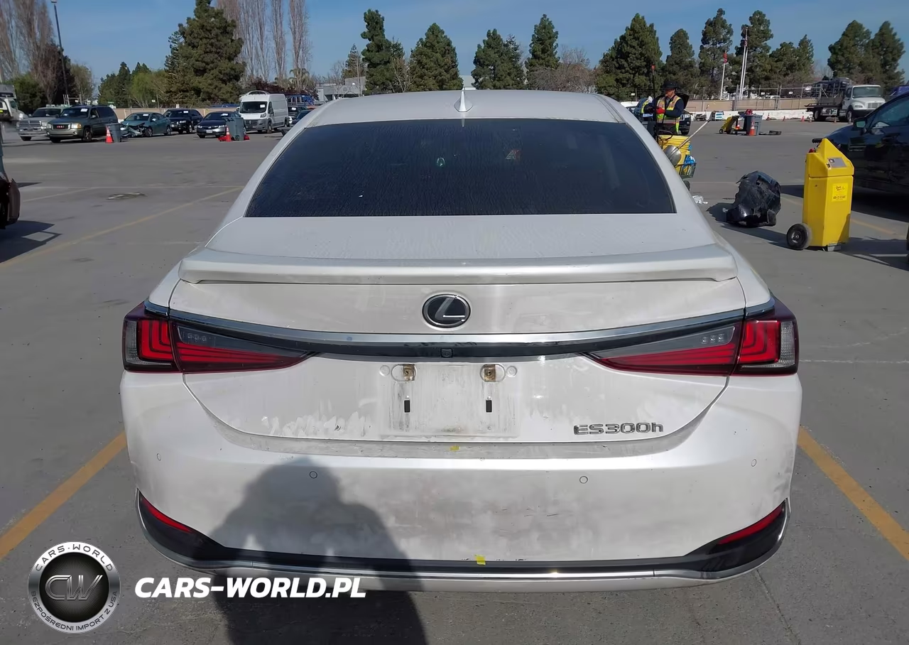 2024 Lexus Es 300H VIN:58ADA1C19RU039429 - 16