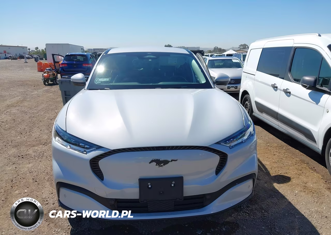 2021 Ford Mustang Mach-E Select VIN:3FMTK1SS5MMA56039 - 12