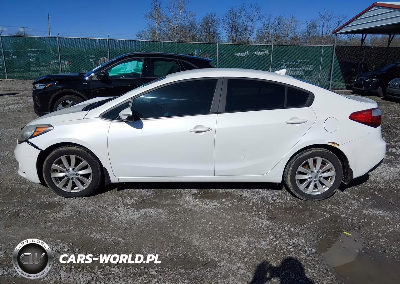 2014 Kia Forte Lx VIN:KNAFX4A6XE5161219 - 14