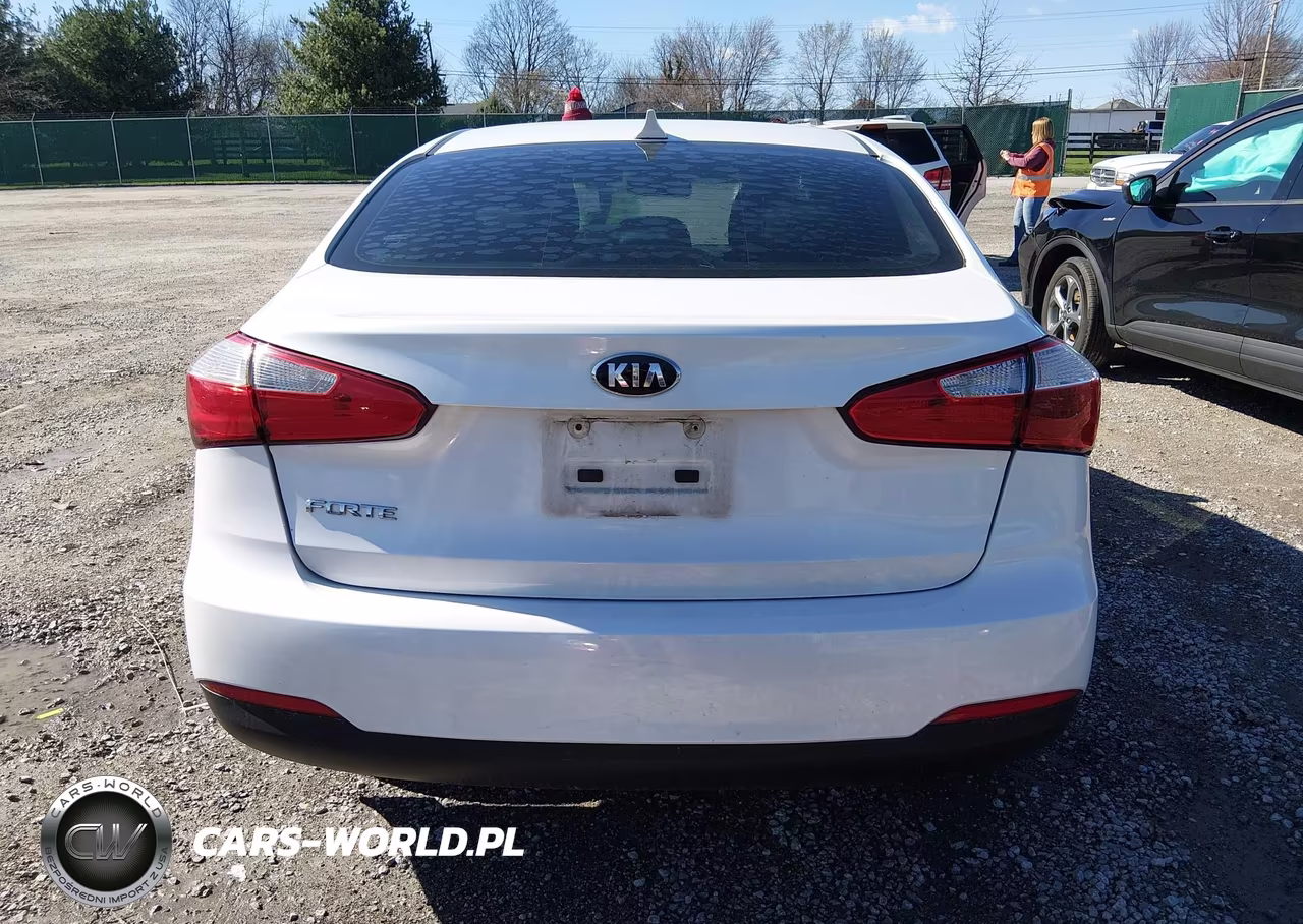 2014 Kia Forte Lx VIN:KNAFX4A6XE5161219 - 16