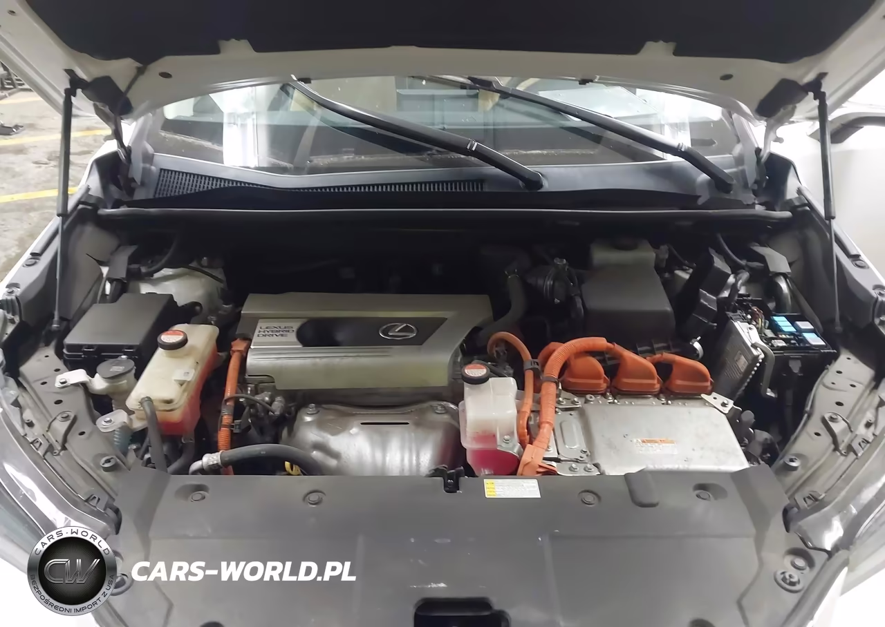 2016 Lexus Nx 300H VIN:JTJBJRBZXG2040040 - 10