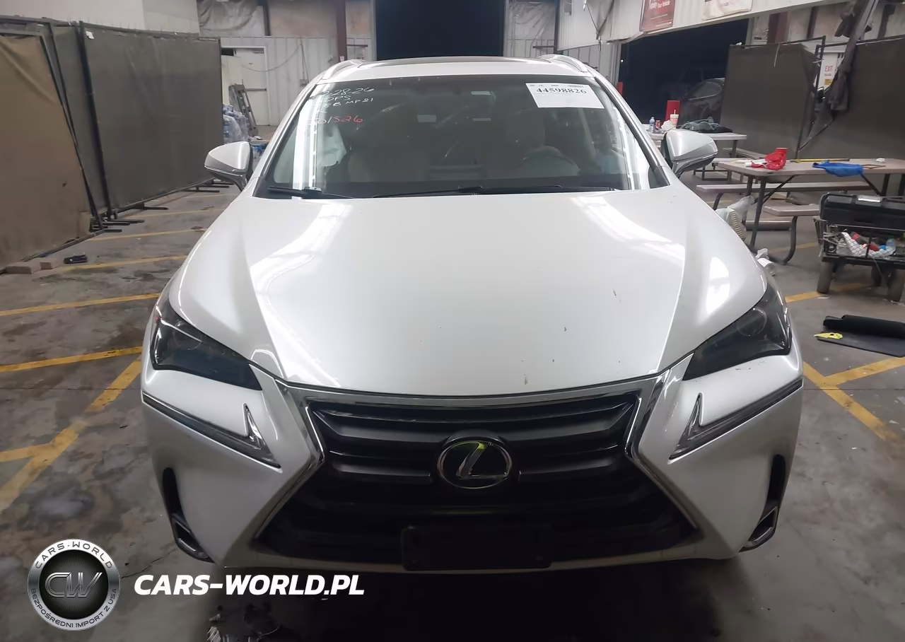 2016 Lexus Nx 300H VIN:JTJBJRBZXG2040040 - 12