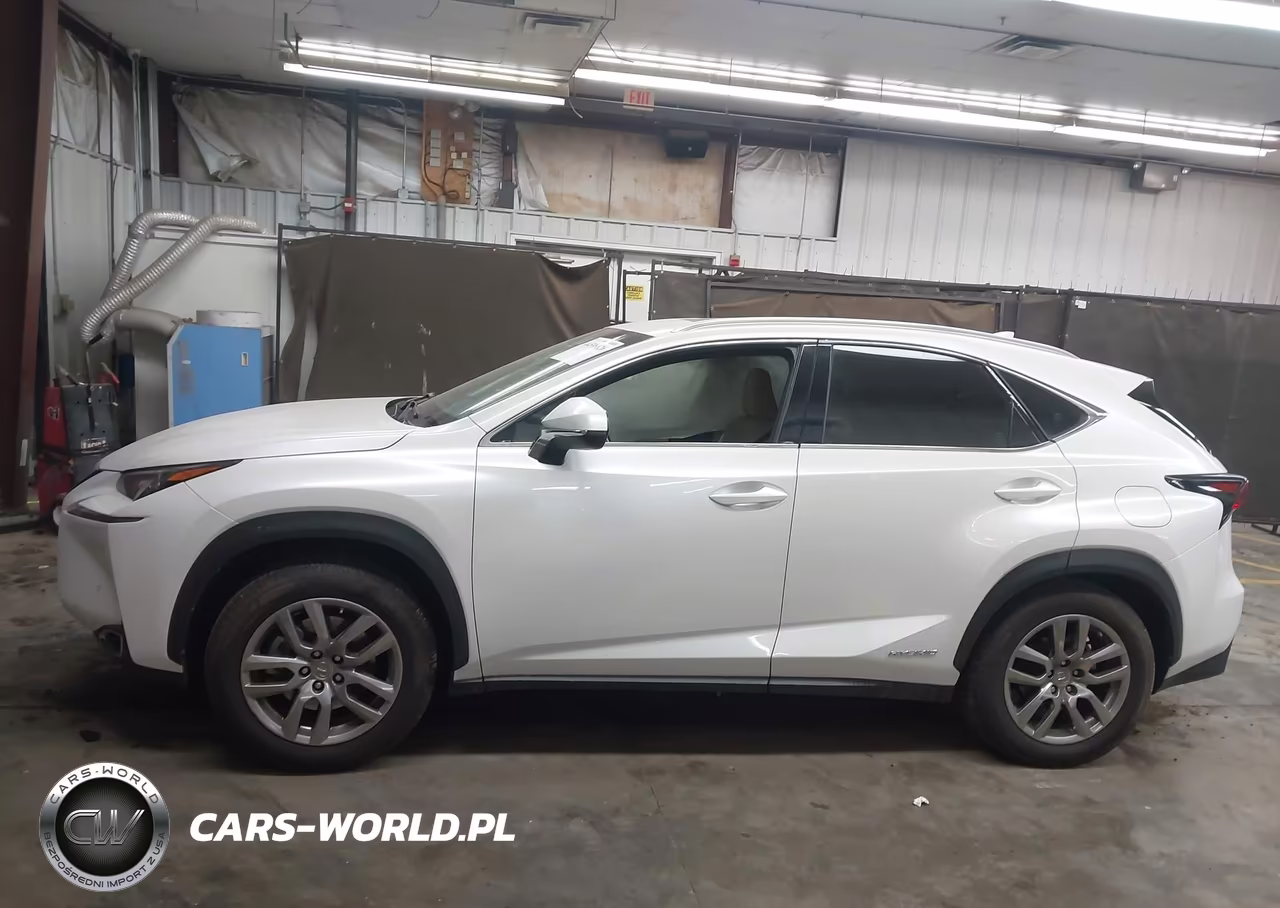 2016 Lexus Nx 300H VIN:JTJBJRBZXG2040040 - 14