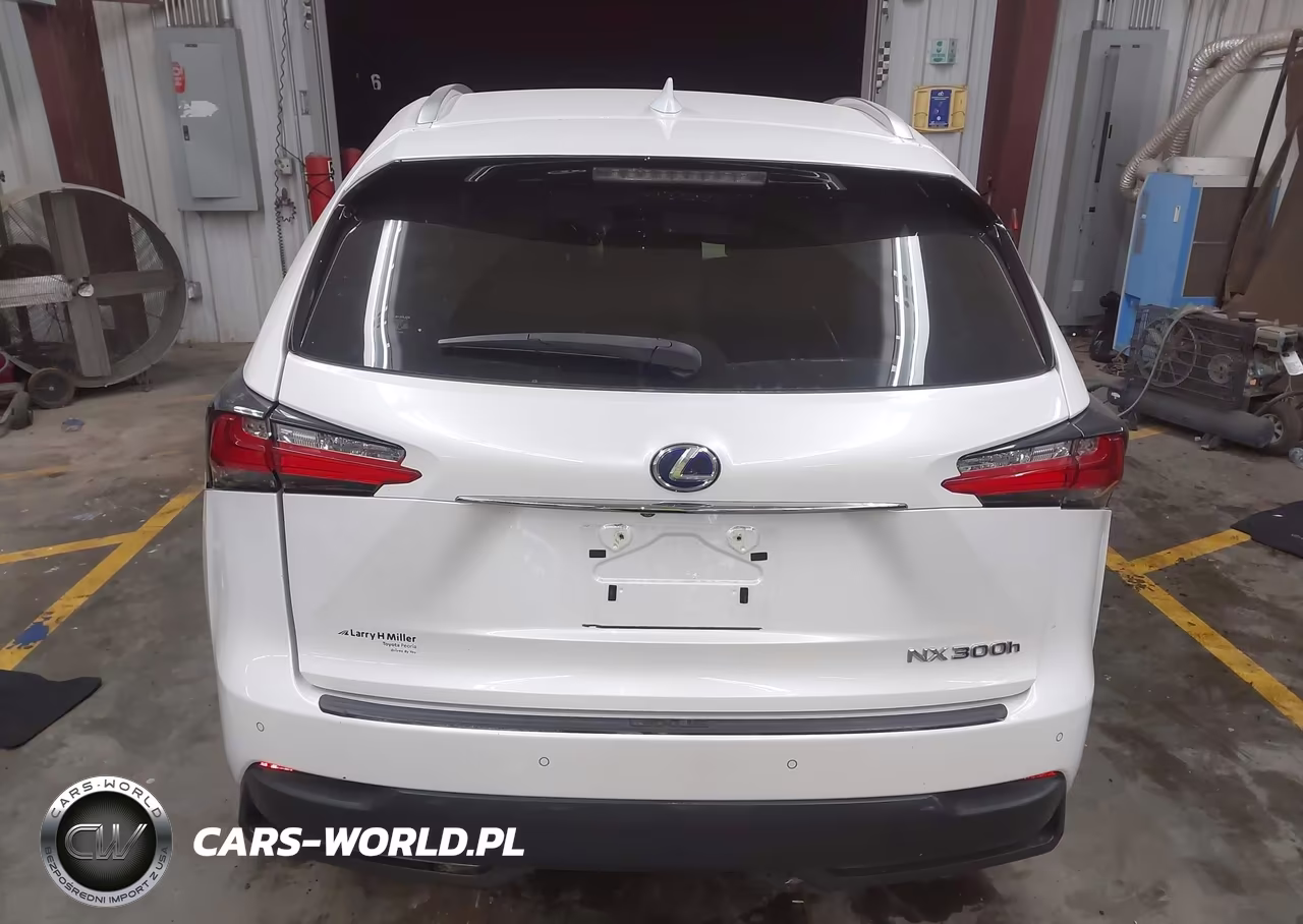2016 Lexus Nx 300H VIN:JTJBJRBZXG2040040 - 16