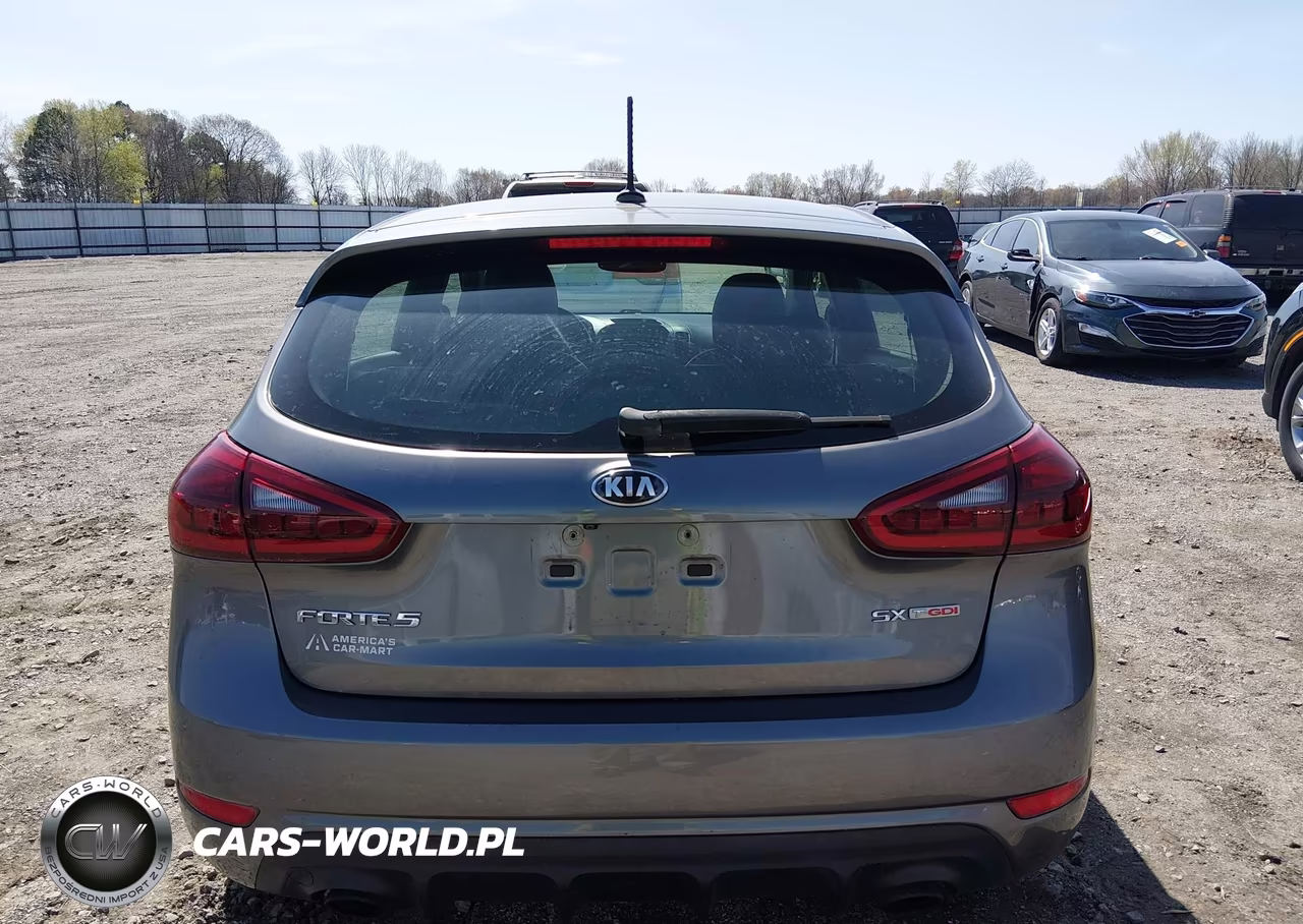 2016 Kia Forte Sx VIN:KNAFZ5A34G5491219 - 16