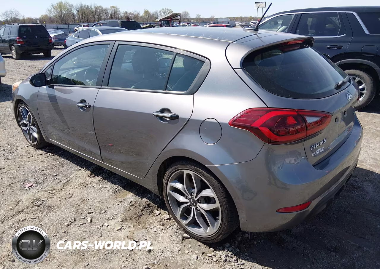 2016 Kia Forte Sx VIN:KNAFZ5A34G5491219 - 3