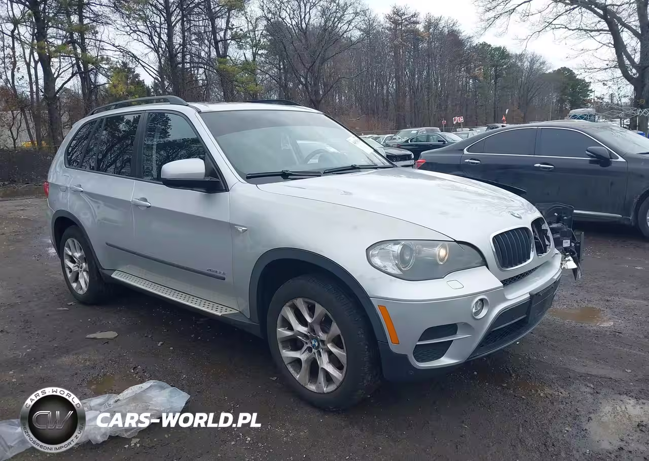 2011 BMW X5 xDrive35I-xDrive35I Premium-xDrive35I Sport Activity