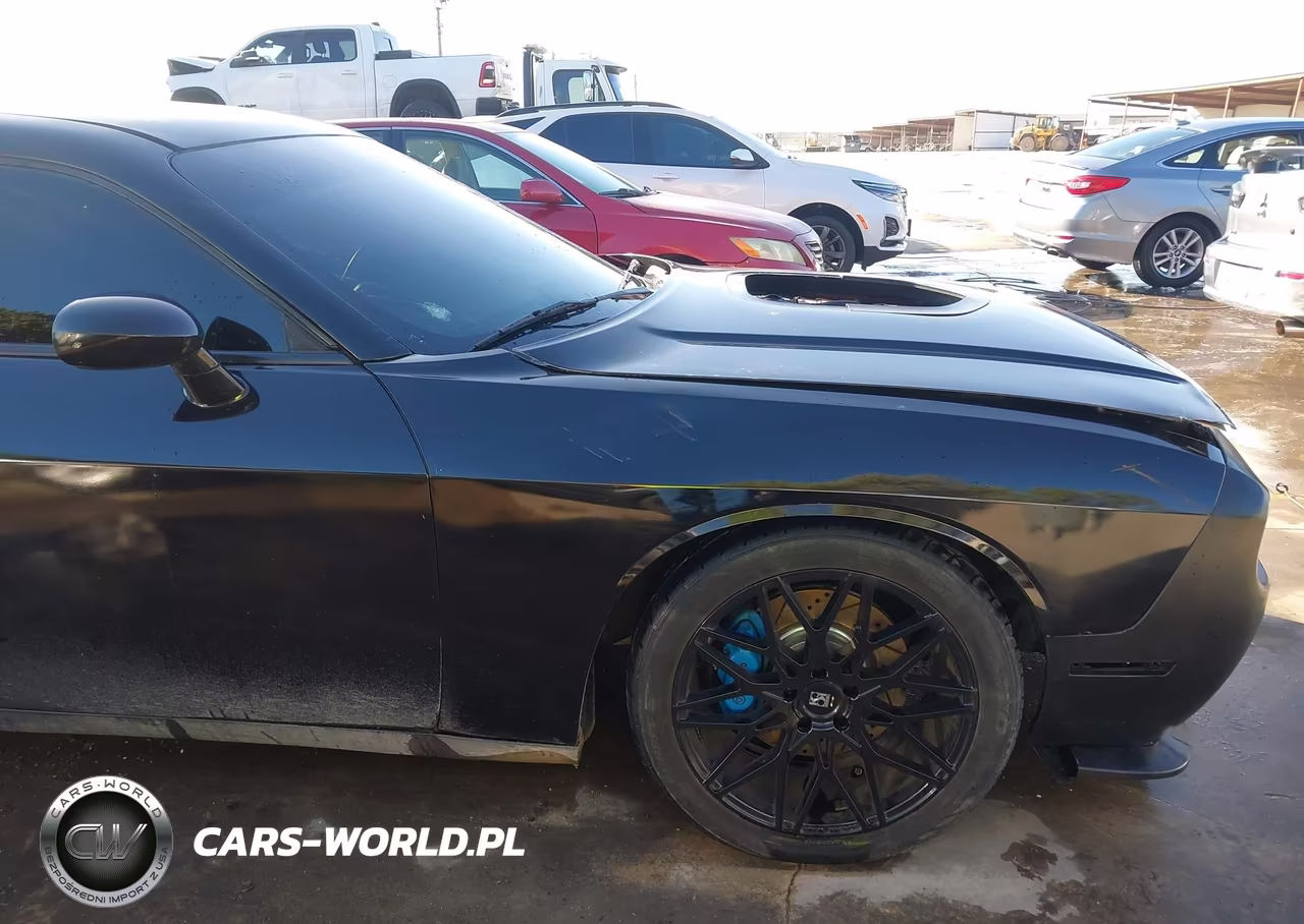 2017 Dodge Challenger 392 Hemi Scat Pack Shaker VIN:2C3CDZFJ9HH613798 - 19