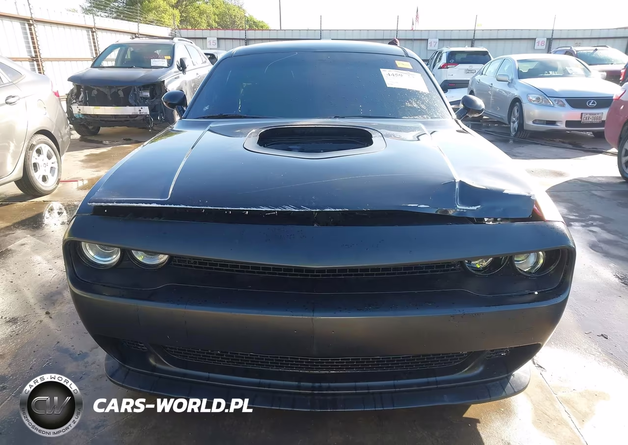 2017 Dodge Challenger 392 Hemi Scat Pack Shaker VIN:2C3CDZFJ9HH613798 - 6