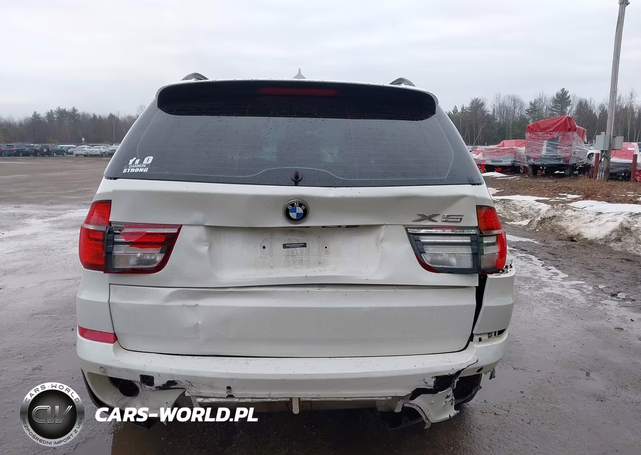 2013 BMW X5 xDrive35I-xDrive35I Premium-xDrive35I Sport Activity VIN:5UXZV4C50D0B09900 - 16