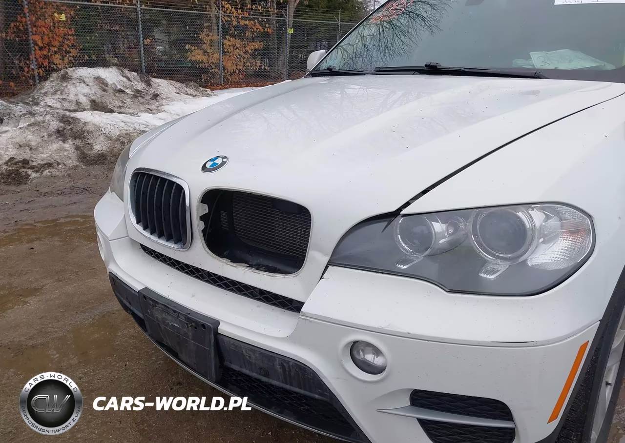 2013 BMW X5 xDrive35I-xDrive35I Premium-xDrive35I Sport Activity VIN:5UXZV4C50D0B09900 - 17
