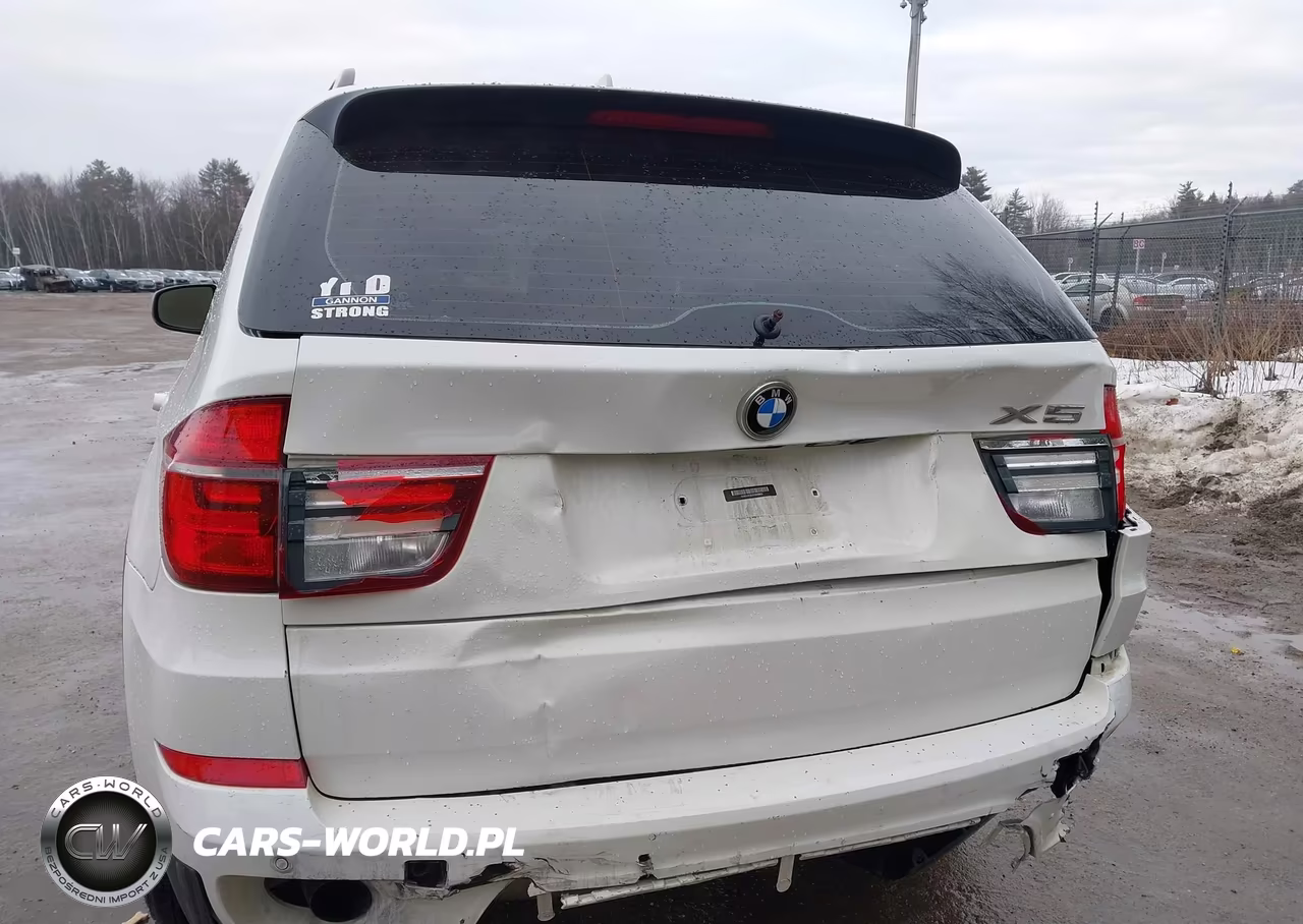 2013 BMW X5 xDrive35I-xDrive35I Premium-xDrive35I Sport Activity VIN:5UXZV4C50D0B09900 - 6