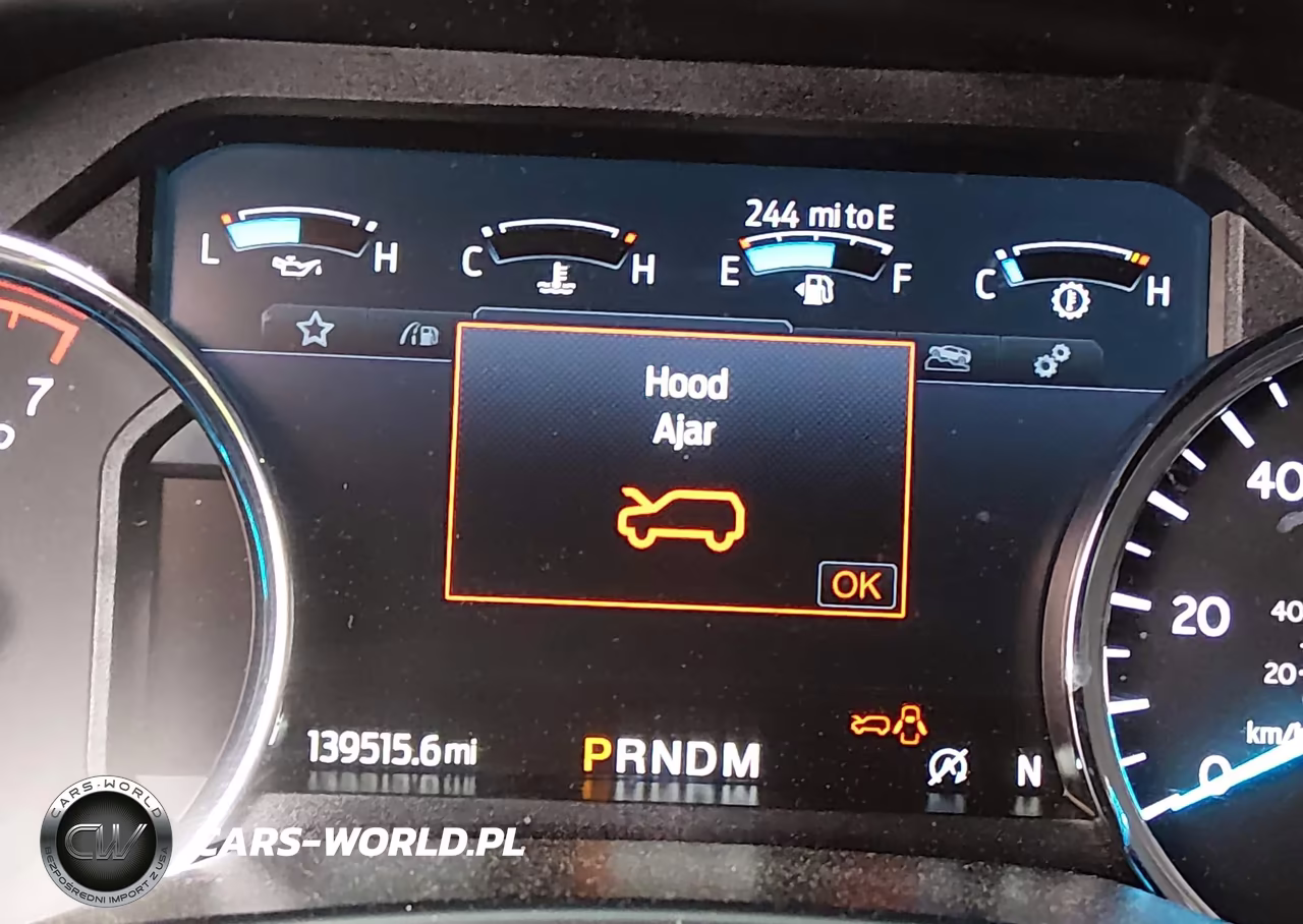 2020 Ford Expedition Limited VIN:1FMJU1KT5LEA87984 - 15