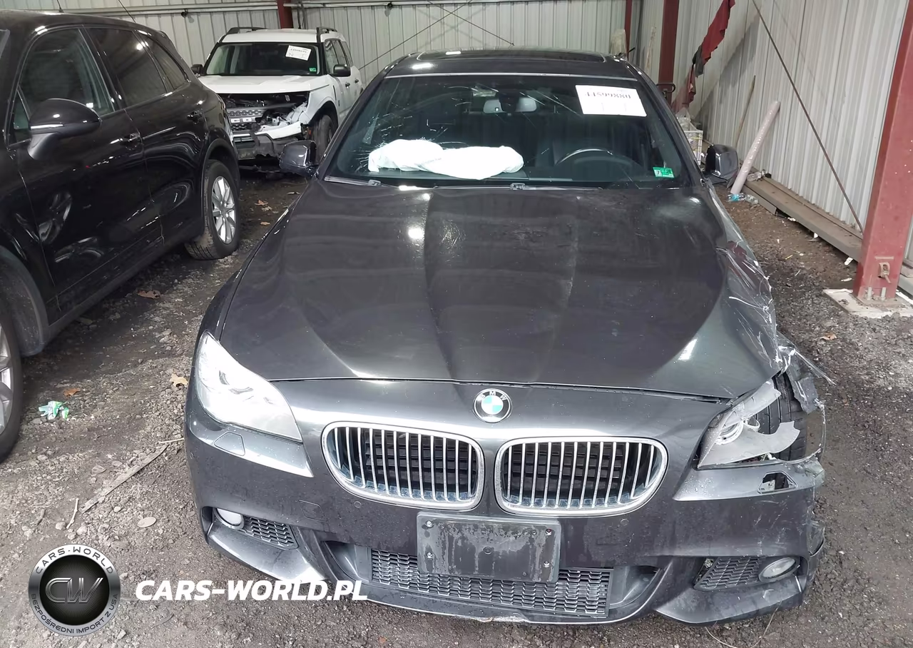 2013 BMW 535I VIN:WBAFR7C50DC822251 - 12