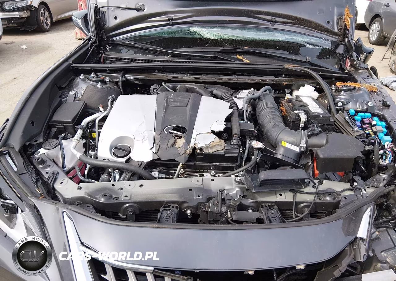 2025 Lexus Es 350 VIN:58ADZ1B18SU206847 - 10