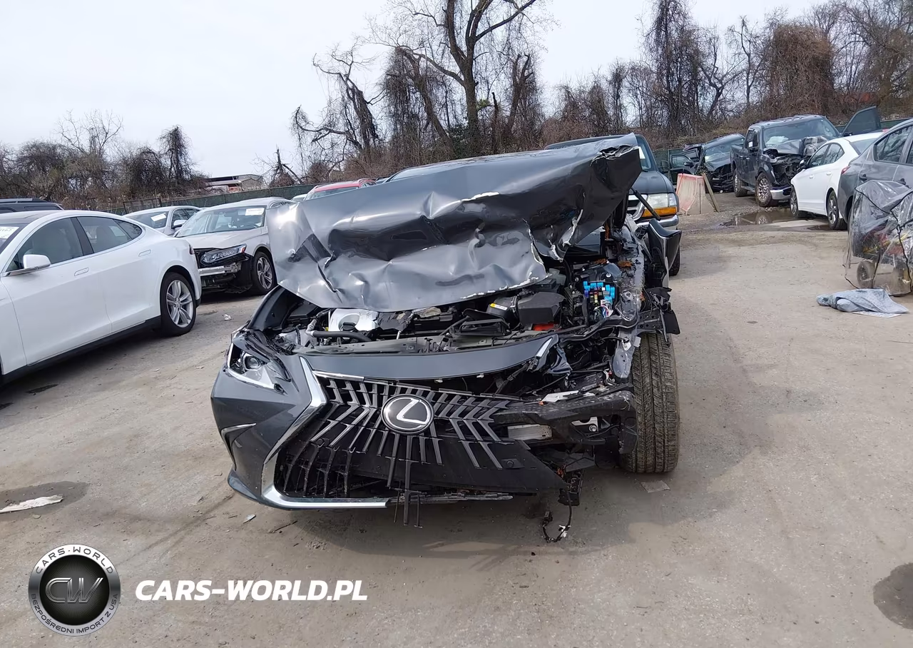 2025 Lexus Es 350 VIN:58ADZ1B18SU206847 - 13