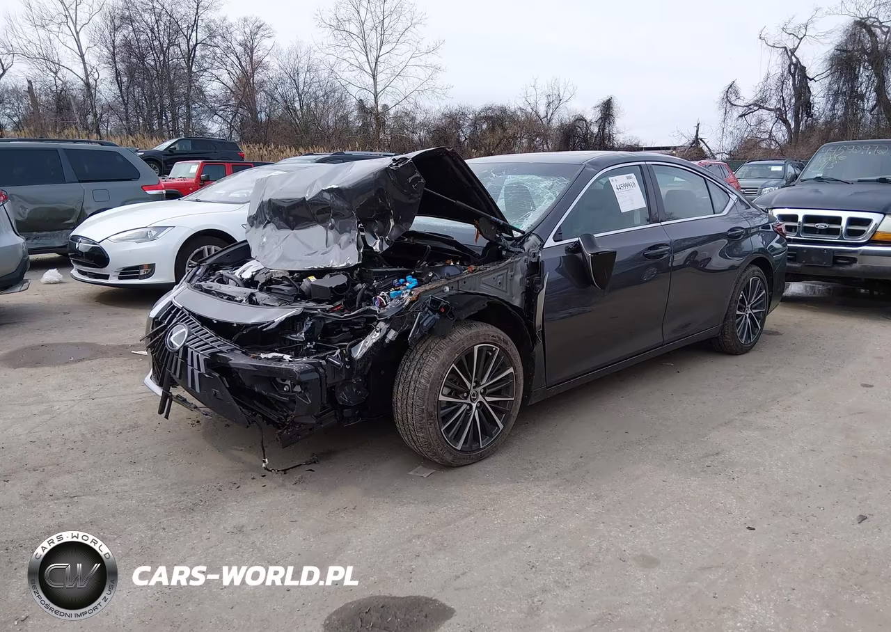 2025 Lexus Es 350 VIN:58ADZ1B18SU206847 - 2