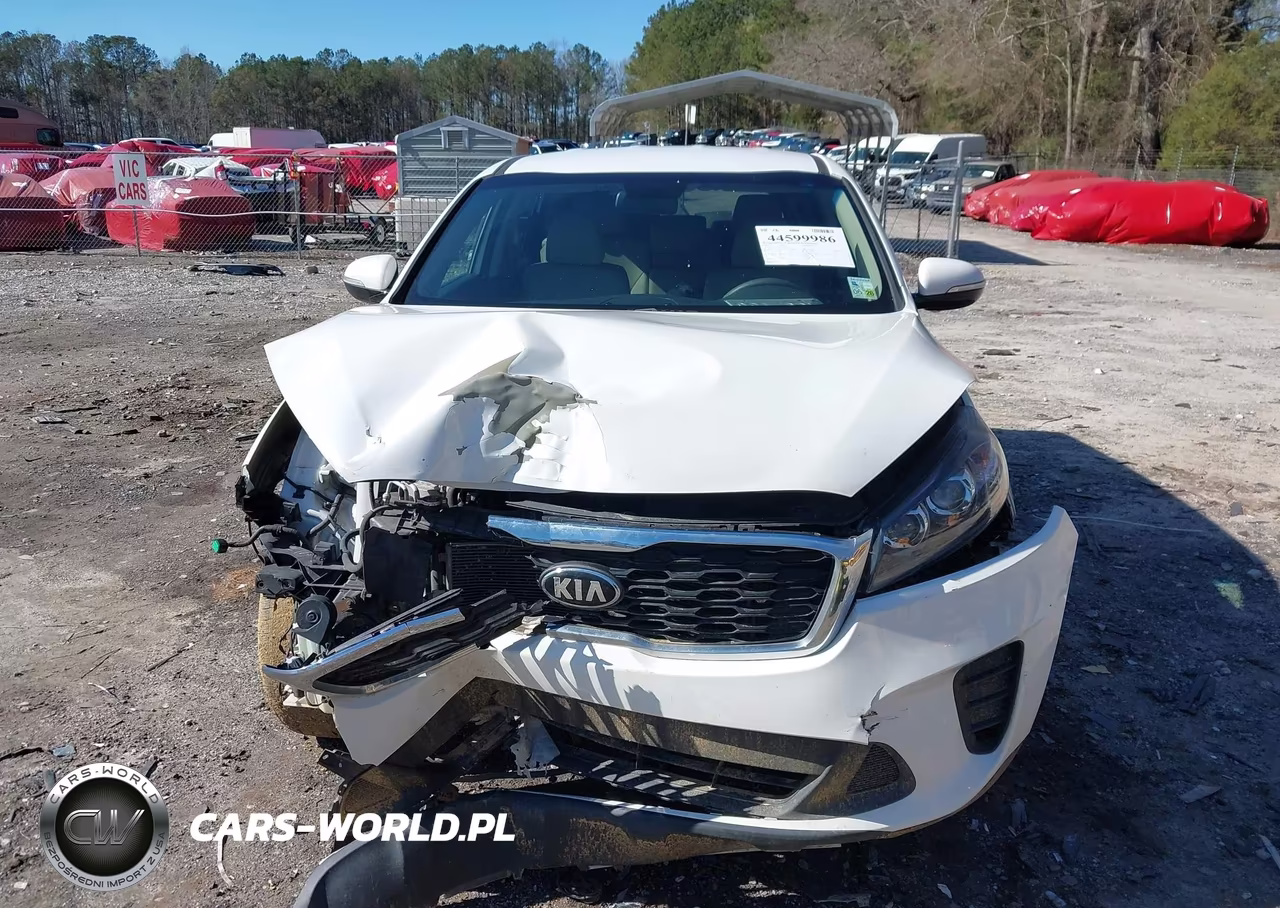 2019 Kia Sorento 2.4L Lx VIN:5XYPG4A34KG541253 - 12