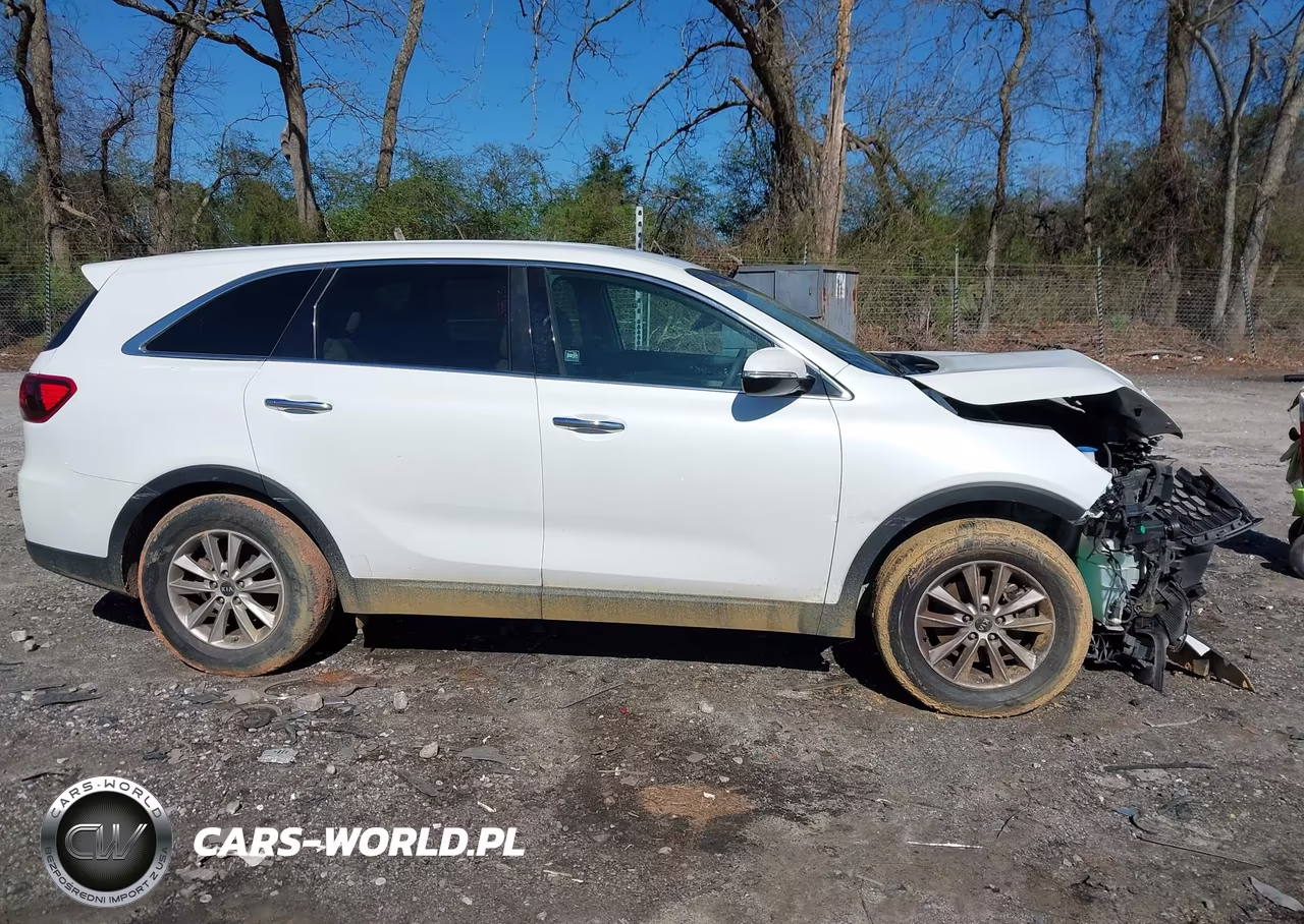 2019 Kia Sorento 2.4L Lx VIN:5XYPG4A34KG541253 - 13