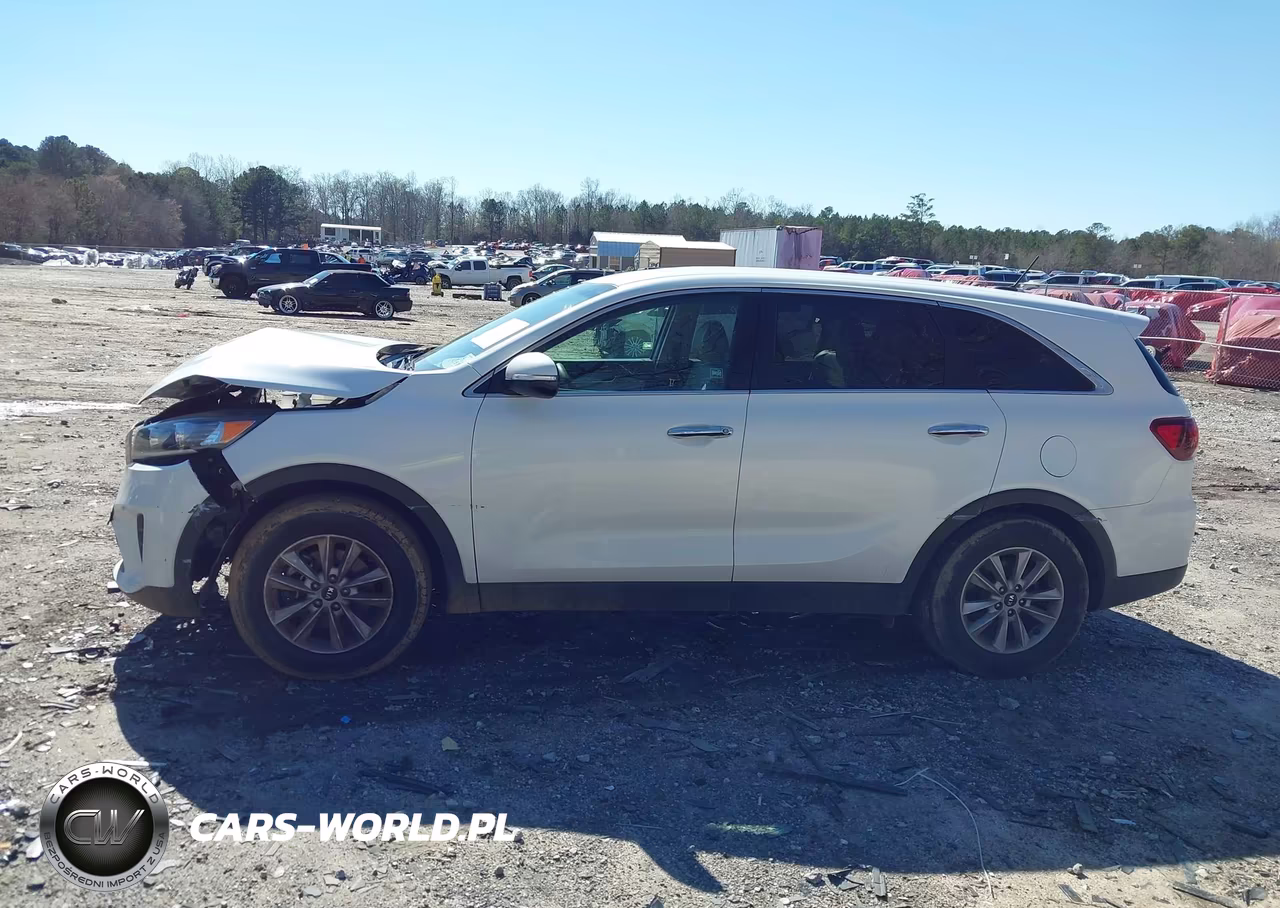 2019 Kia Sorento 2.4L Lx VIN:5XYPG4A34KG541253 - 14