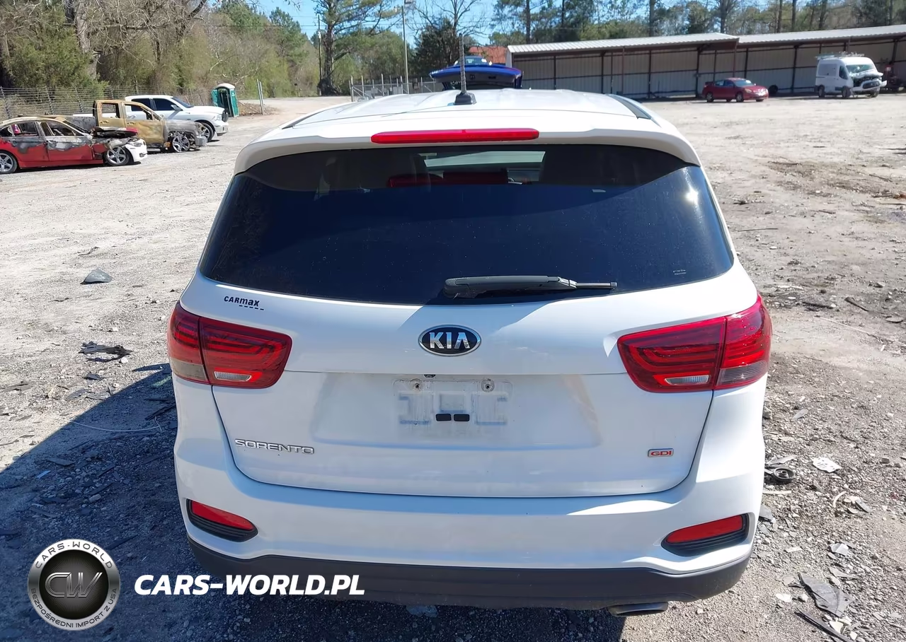 2019 Kia Sorento 2.4L Lx VIN:5XYPG4A34KG541253 - 16