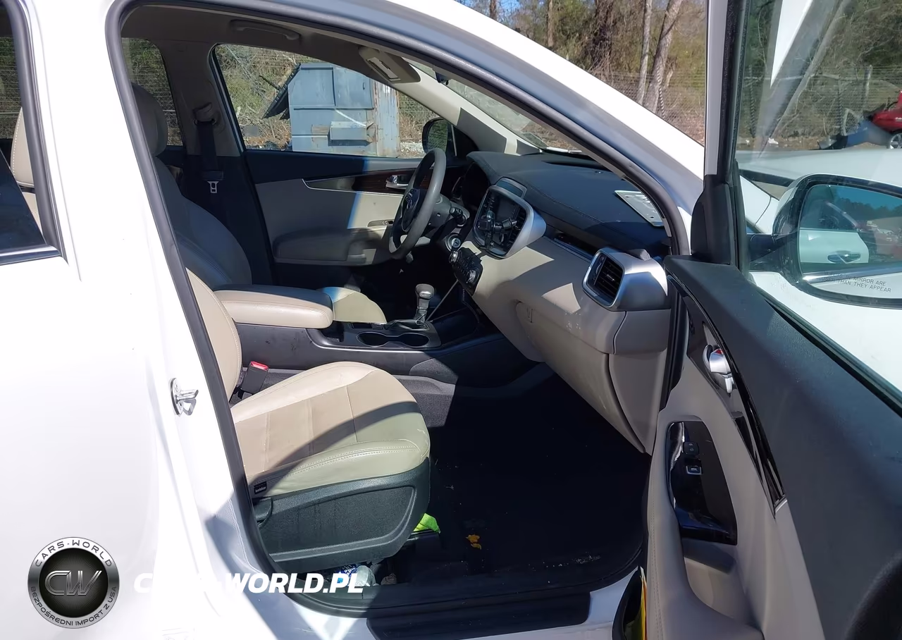 2019 Kia Sorento 2.4L Lx VIN:5XYPG4A34KG541253 - 5