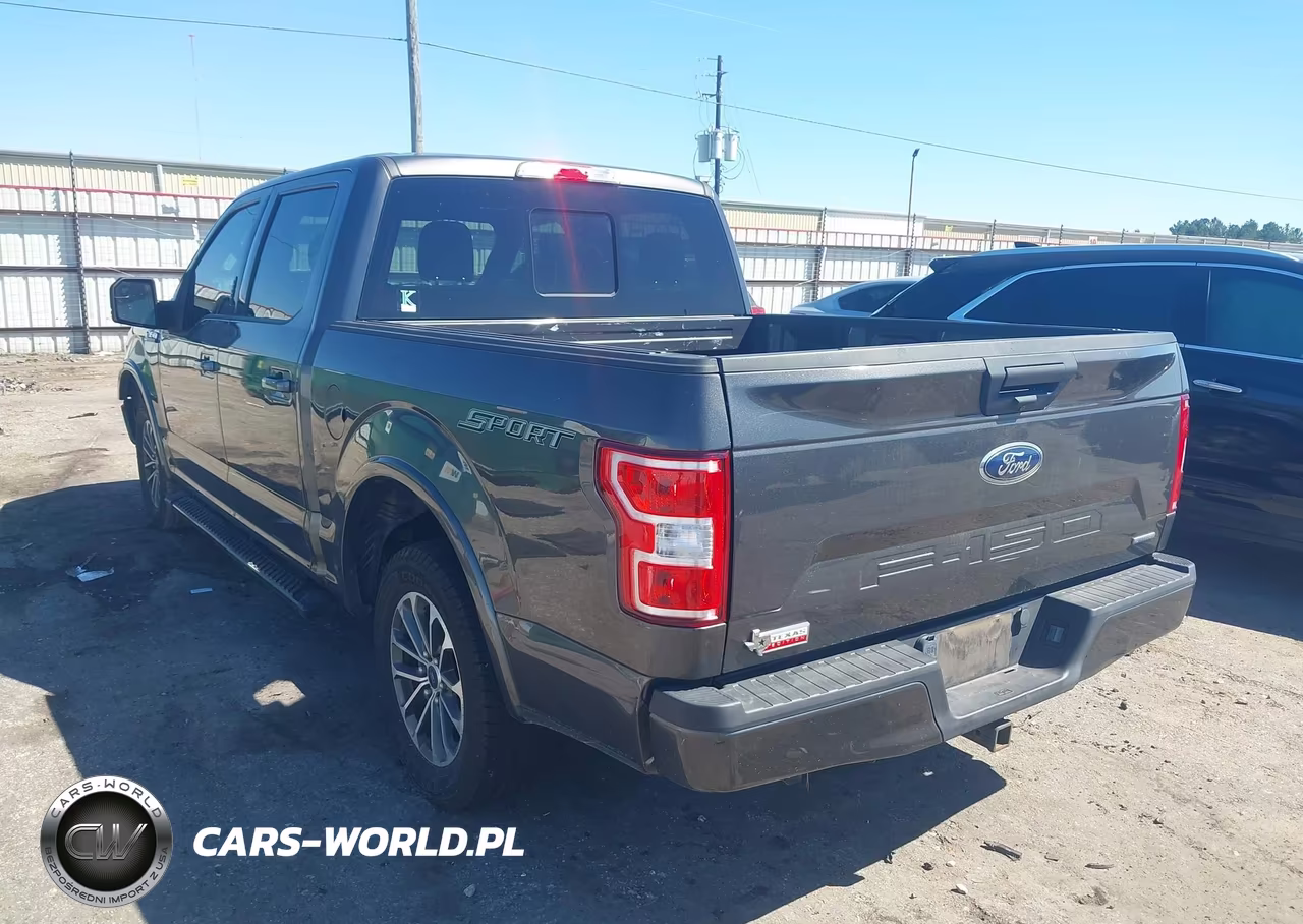 2019 Ford F-150 Xlt VIN:1FTEW1CP0KKE46448 - 3