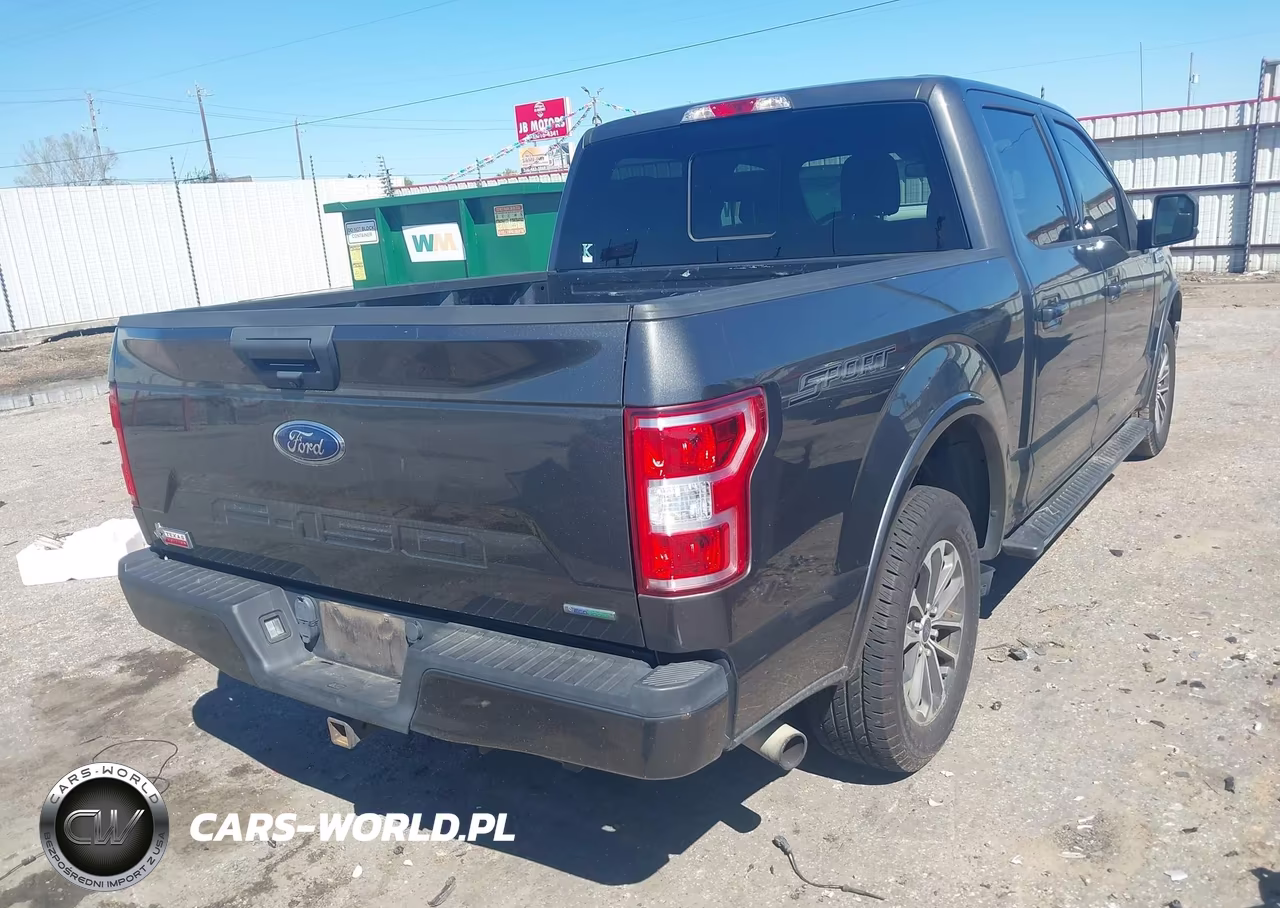2019 Ford F-150 Xlt VIN:1FTEW1CP0KKE46448 - 4