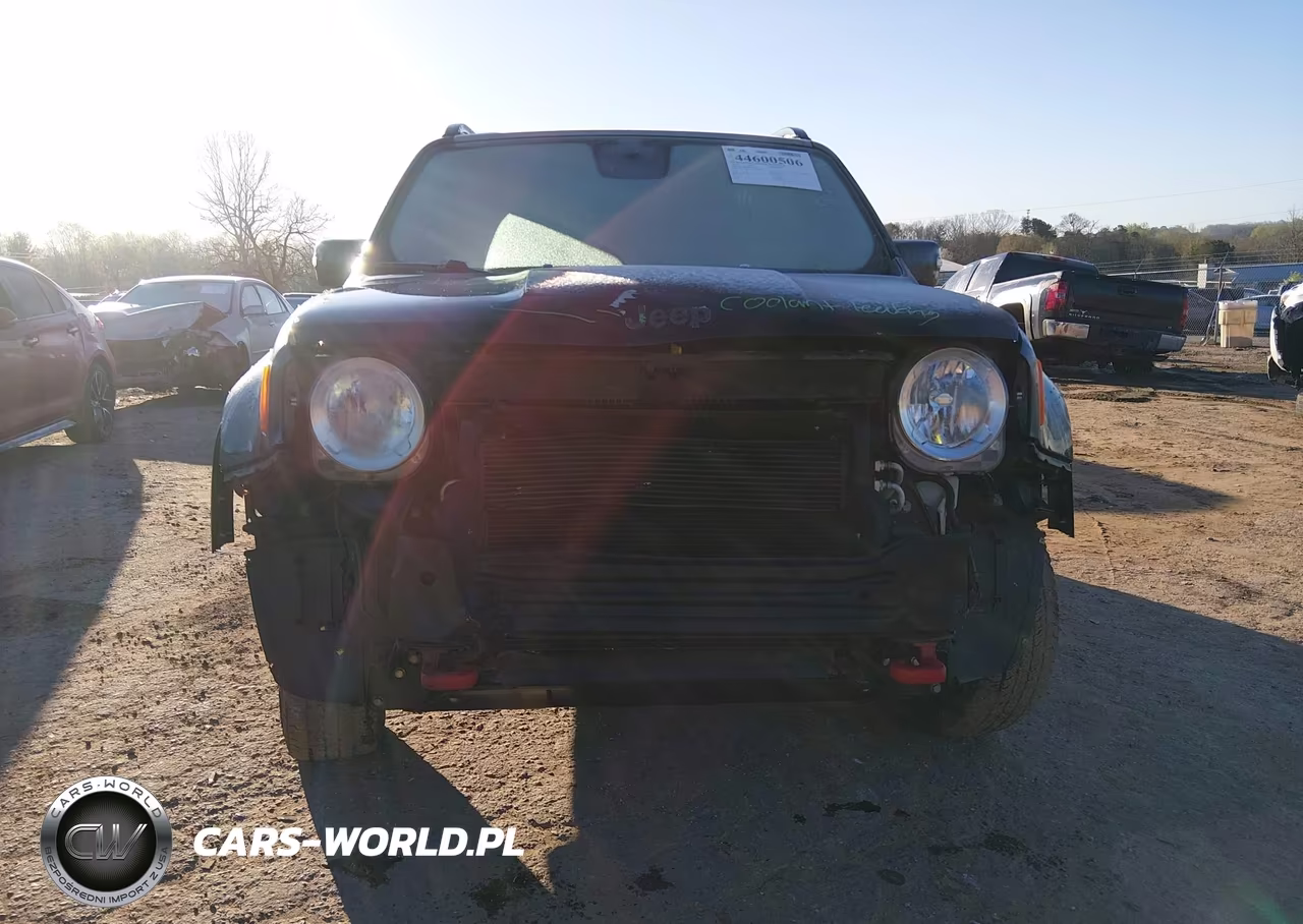 2016 Jeep Renegade Trailhawk VIN:ZACCJBCT6GPE19731 - 12