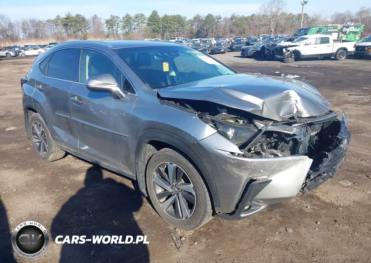 2018 Lexus Nx 300H