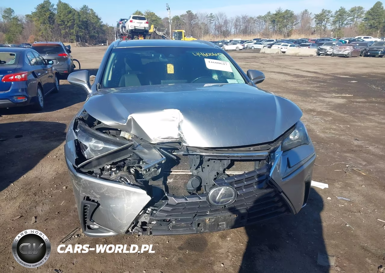 2018 Lexus Nx 300H VIN:JTJBJRBZXJ2093053 - 12