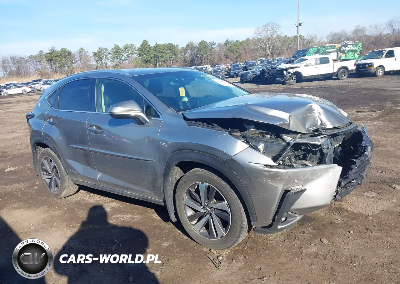 2018 Lexus Nx 300H VIN:JTJBJRBZXJ2093053 - 13