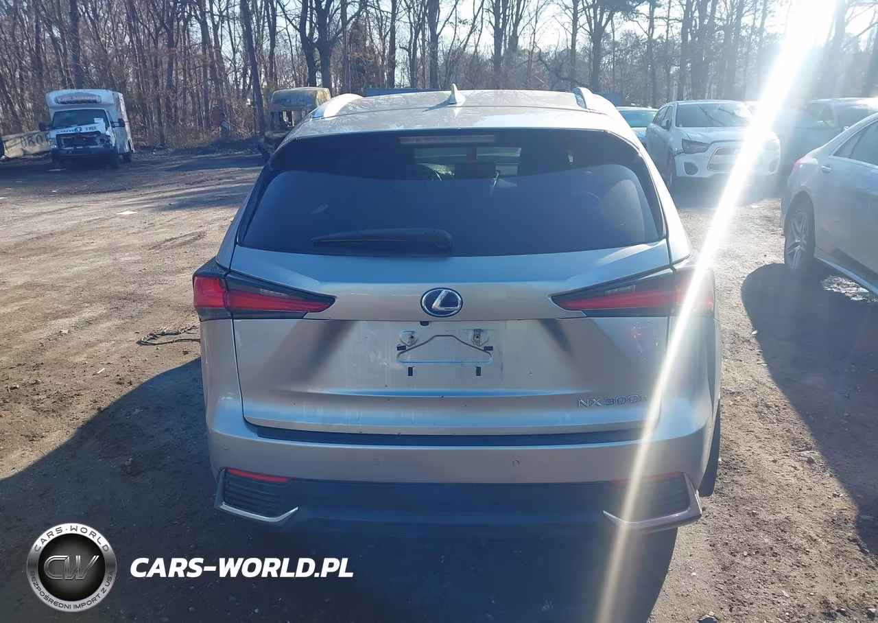 2018 Lexus Nx 300H VIN:JTJBJRBZXJ2093053 - 16