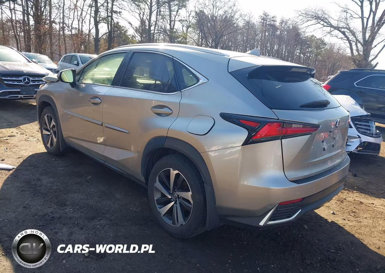 2018 Lexus Nx 300H VIN:JTJBJRBZXJ2093053 - 3