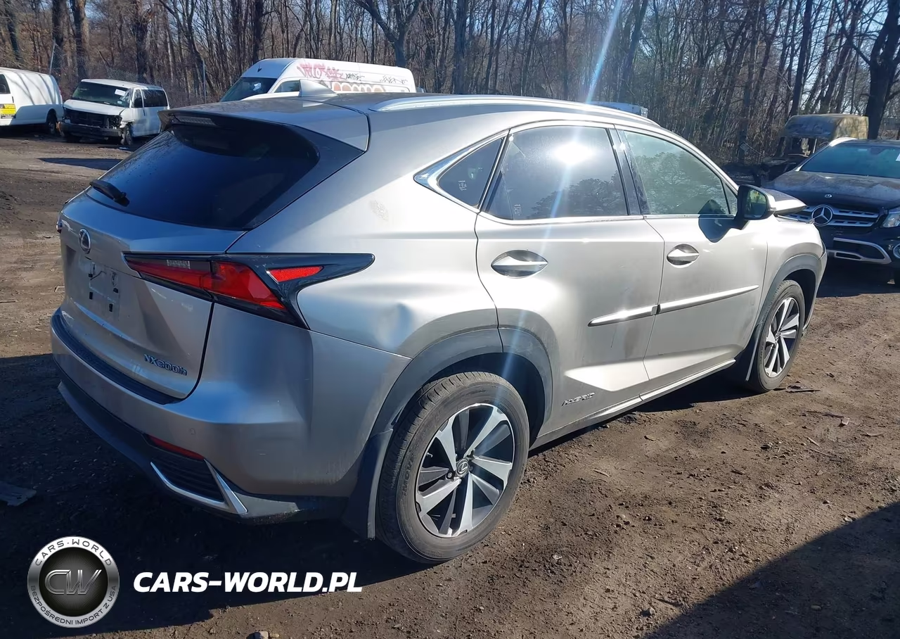 2018 Lexus Nx 300H VIN:JTJBJRBZXJ2093053 - 4