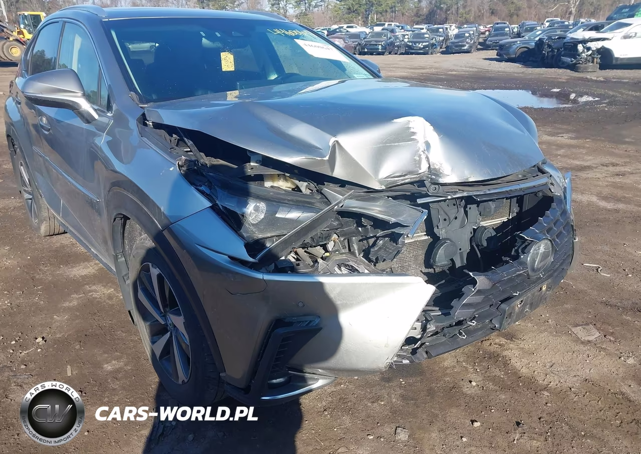 2018 Lexus Nx 300H VIN:JTJBJRBZXJ2093053 - 6