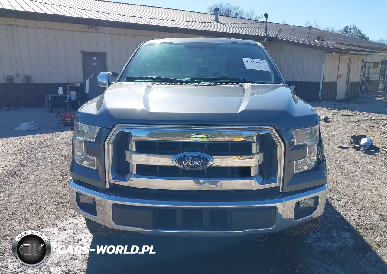 2015 Ford F-150 Xlt VIN:1FTEW1EG9FFA73521 - 13